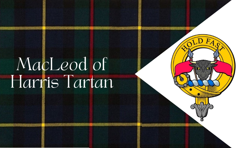 Clan macleod hot sale tartan