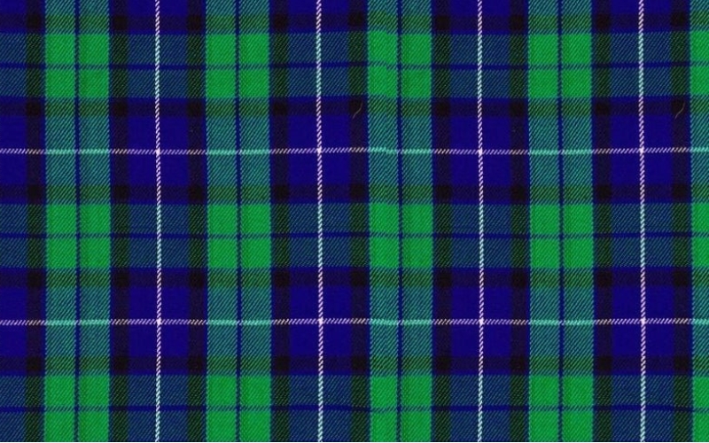 Freedom clan tartan.jpg